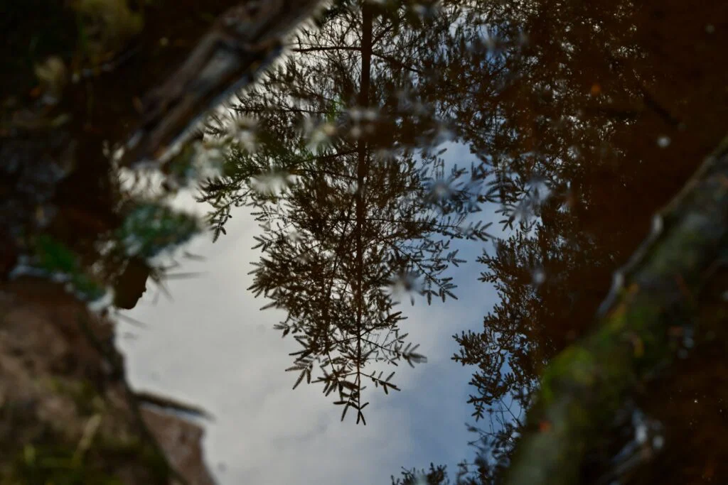 Audit your life. Reflect