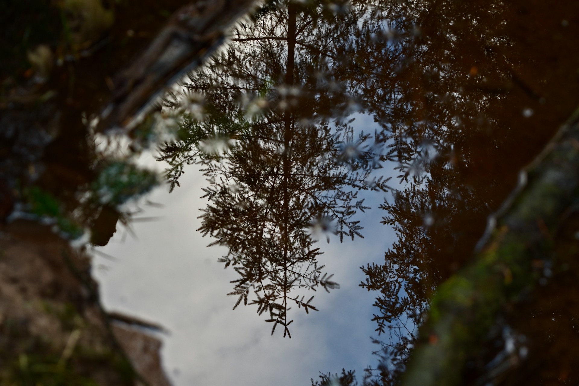 The audit we often avoid